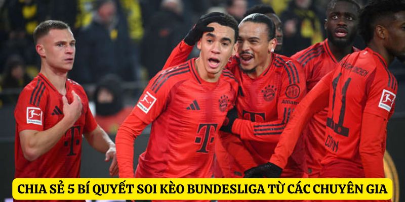 chia-se-5-bi-quyet-soi-keo-bundesliga-tu-cac-chuyen-gia